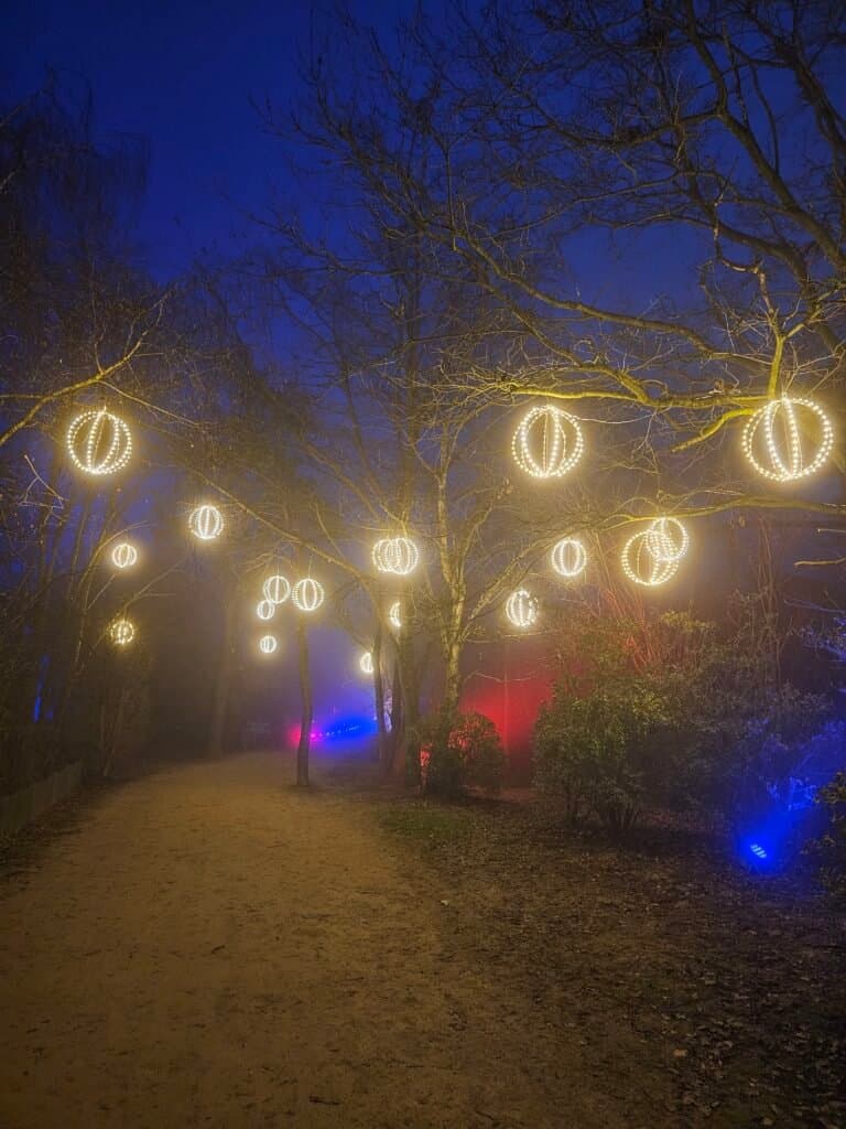 Les Nuits du Parc 2025 : le spectacle sons et lumières du Parc des Oiseaux
